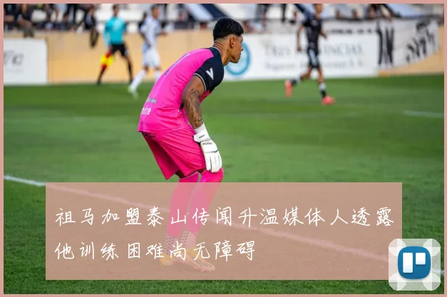 祖马加盟泰山传闻升温媒体人透露他训练困难尚无障碍